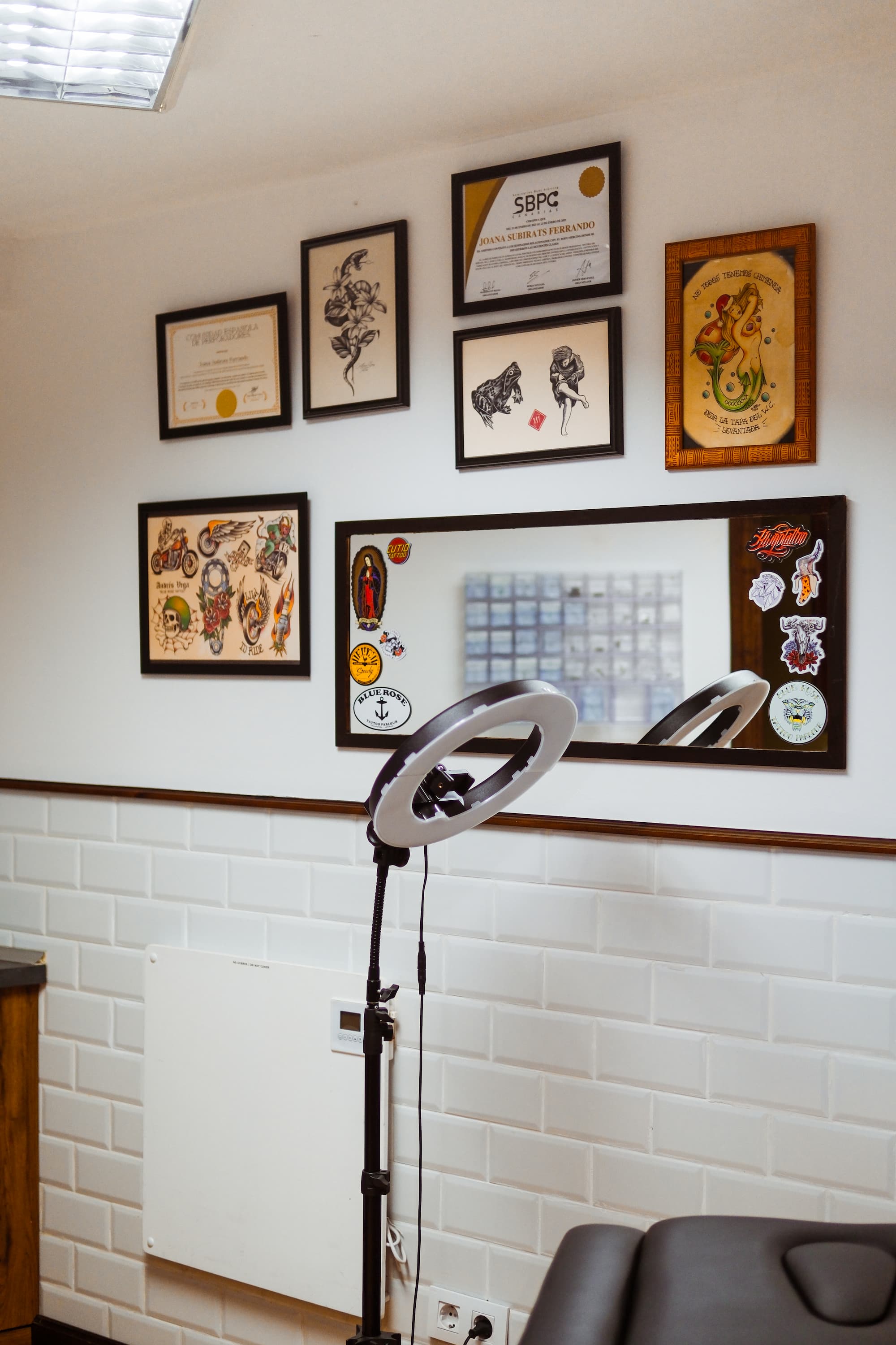 Blue Rose Tattoo · Estudio