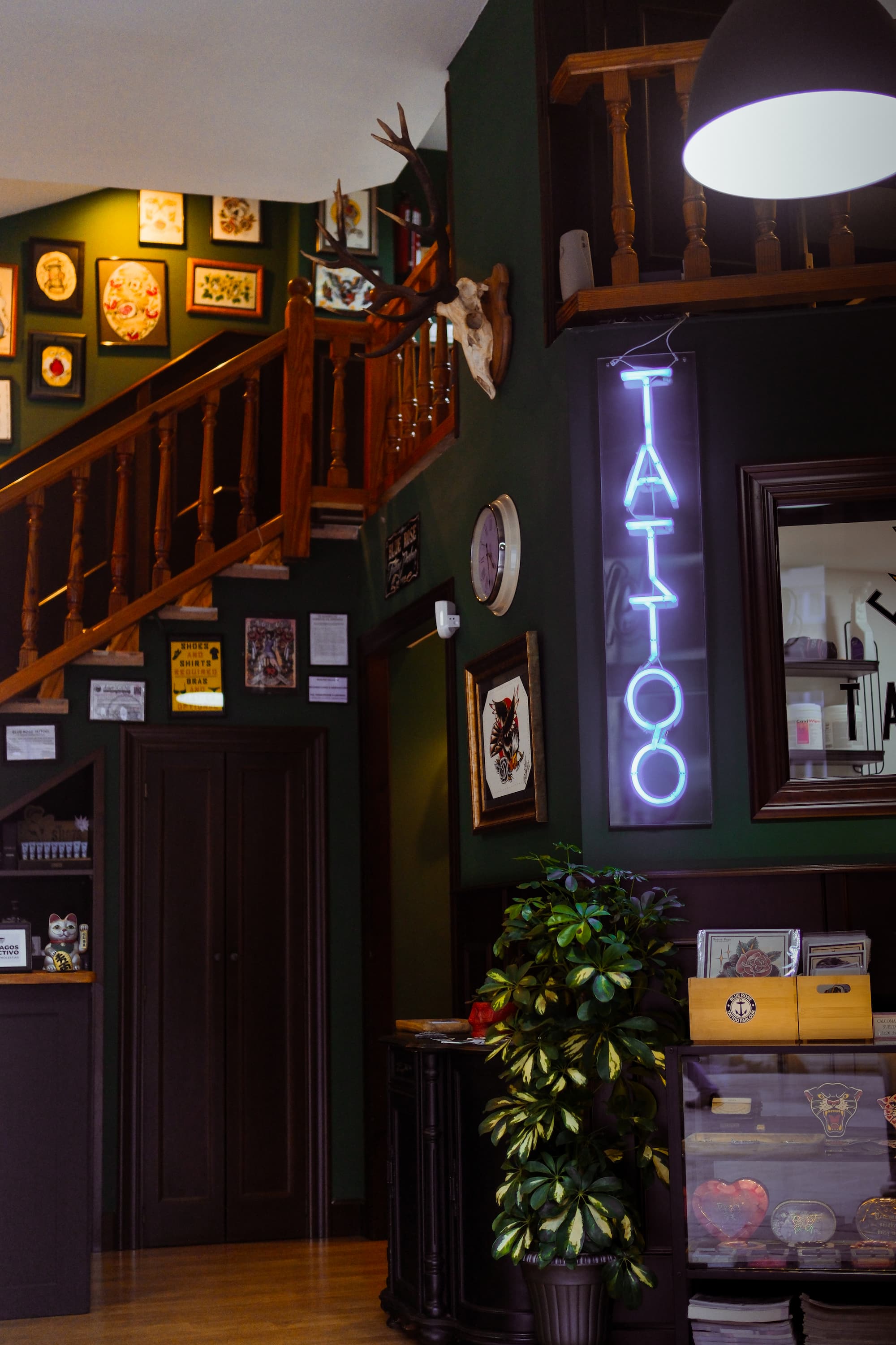 Blue Rose Tattoo · Estudio