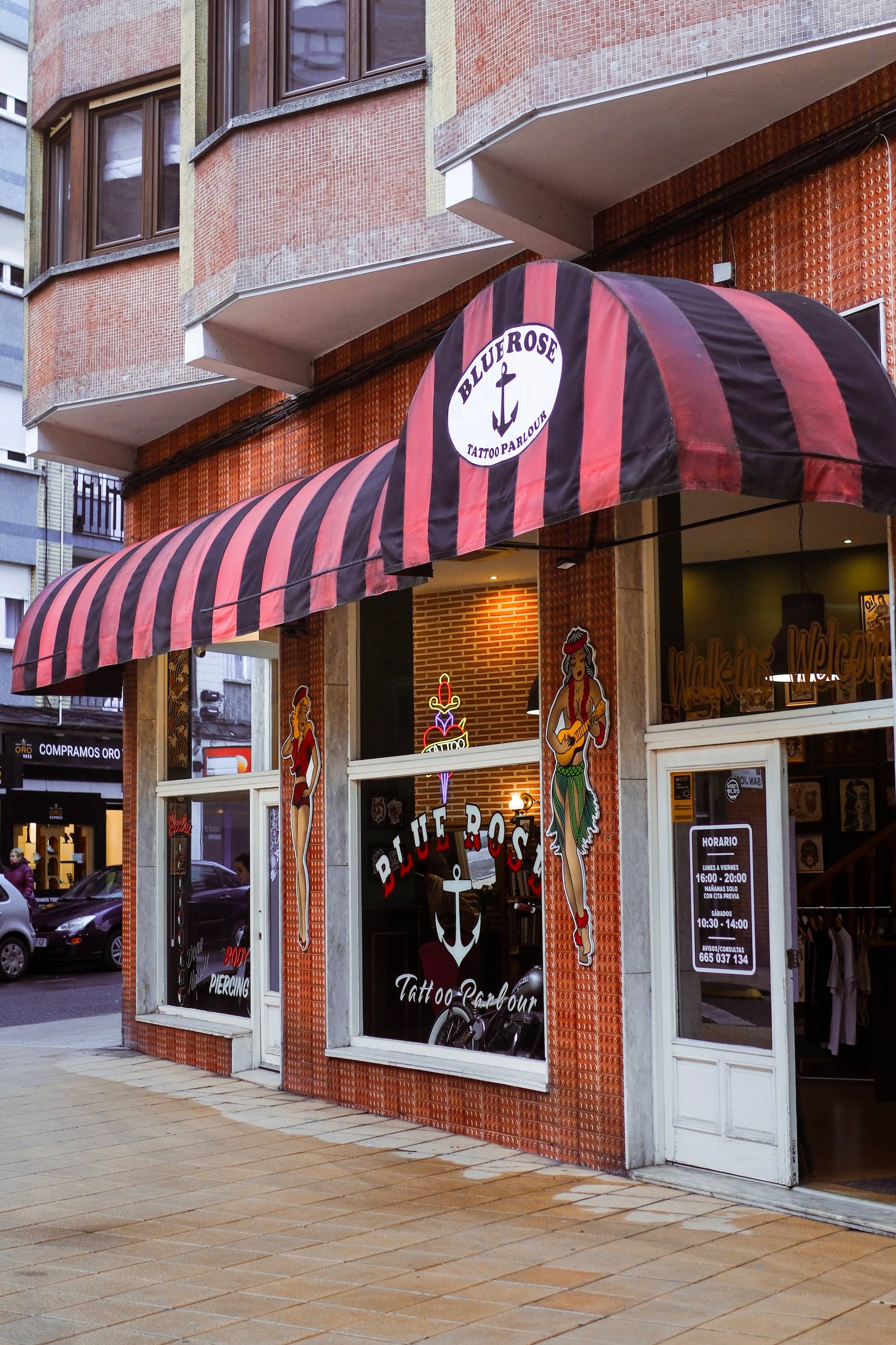 Blue Rose Tattoo · Estudio