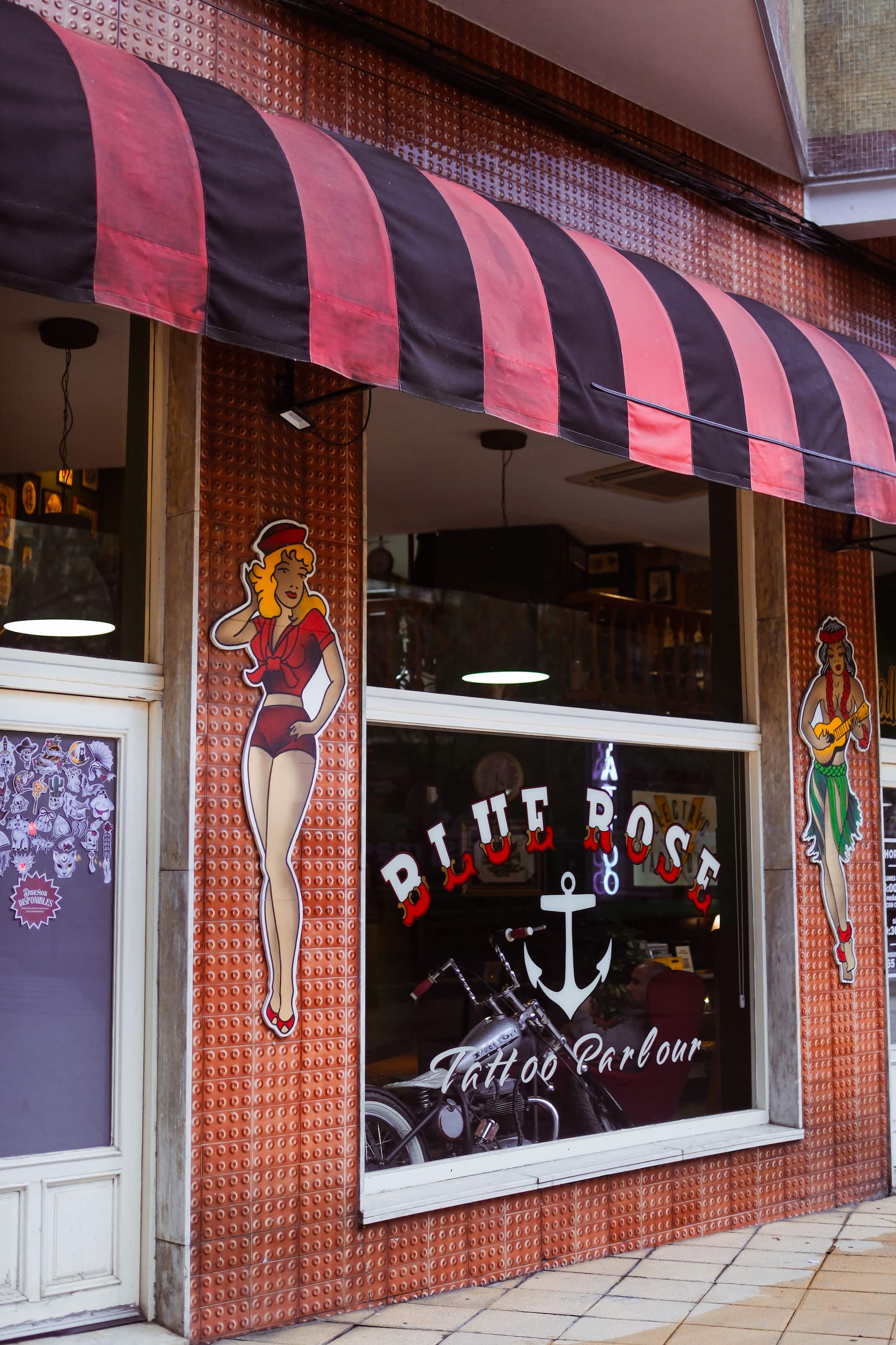 Blue Rose Tattoo · Estudio